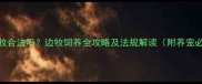 合肥养边牧合法吗边牧饲养全攻略及法规解读附养宠必备清单