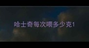 哈士奇每次喂多少克
