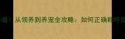 猫咪新手必看从领养到养宠全攻略如何正确称呼你家毛孩子