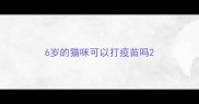 6岁的猫咪可以打疫苗吗