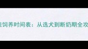 拉布拉多幼犬最佳饲养时间表从选犬到断奶期全攻略新手必看