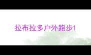 拉布拉多户外跑步