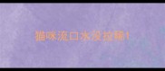 猫咪流口水没拉稀