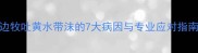 边牧吐黄水带沫的7大病因与专业应对指南