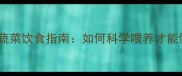 哈士奇水果蔬菜饮食指南如何科学喂养才能健康快乐