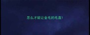 怎么才能让金毛的毛直