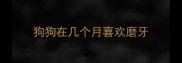 狗狗在几个月喜欢磨牙