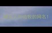 描写人与边牧的网名