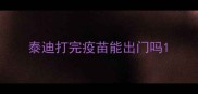 泰迪打完疫苗能出门吗