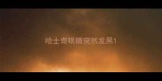 哈士奇眼睛突然发黑