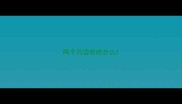 两个月边牧吃什么