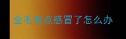 金毛有点感冒了怎么办
