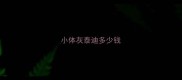 小体灰泰迪多少钱