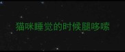 猫咪睡觉的时候腿哆嗦