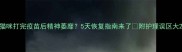 猫咪打完疫苗后精神萎靡5天恢复指南来了附护理误区大