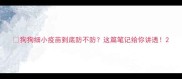 狗狗细小疫苗到底防不防这篇笔记给你讲透