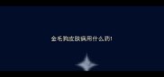 金毛狗皮肤病用什么药