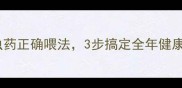 必看狗狗驱虫药正确喂法3步搞定全年健康科学喂药指南