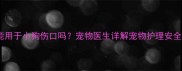 云南白药能用于小狗伤口吗宠物医生详解宠物护理安全使用指南