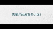 狗要打的疫苗多少钱