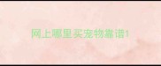 网上哪里买宠物靠谱