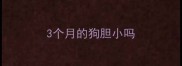 3个月的狗胆小吗
