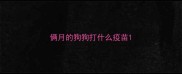 俩月的狗狗打什么疫苗