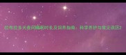 拉布拉多犬夜间睡眠时长及饲养指南科学养护与常见误区