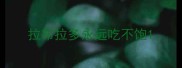 拉布拉多永远吃不饱