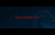 拉布拉多黑色6个月