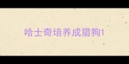 哈士奇培养成猎狗