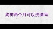 狗狗两个月可以洗澡吗