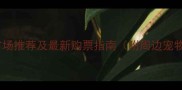 北京大型宠物市场推荐及最新购票指南附周边宠物服务全攻略