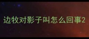 边牧对影子叫怎么回事