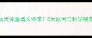 8个月大幼犬体重增长停滞5大原因与科学喂养全攻略