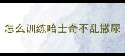 怎么训练哈士奇不乱撒尿