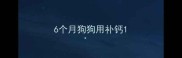 6个月狗狗用补钙