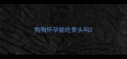狗狗怀孕能吃骨头吗