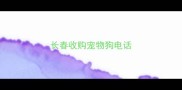 长春收购宠物狗电话