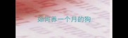 如何养一个月的狗