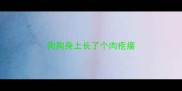 狗狗身上长了个肉疙瘩