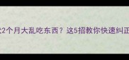 边牧幼犬2个月大乱吃东西这5招教你快速纠正坏习惯