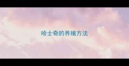 哈士奇的养殖方法