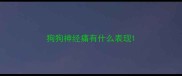 狗狗神经痛有什么表现