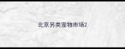 北京另类宠物市场