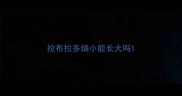 拉布拉多细小能长大吗
