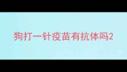 狗打一针疫苗有抗体吗