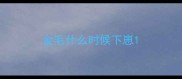 金毛什么时候下崽