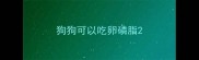 狗狗可以吃卵磷脂