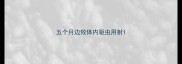 五个月边牧体内驱虫用射